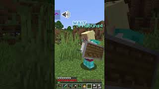 Katie is mad WINK WINK  #soulhunt #minecraft #mcyt