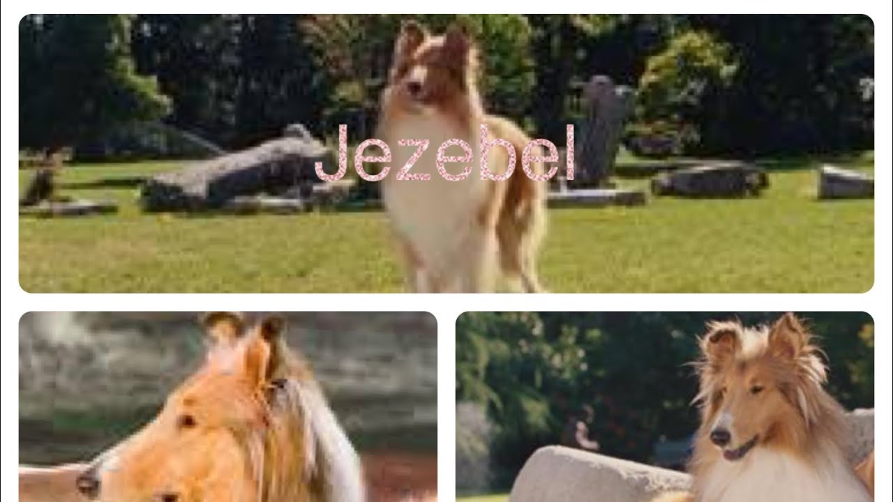 Marmaduke (2010) Jezebel scene pack (part 1) YouTube