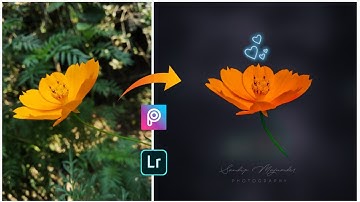 Best Flower Editing Color Retouching | Useing PicsArt Lightroom & Snapseed
