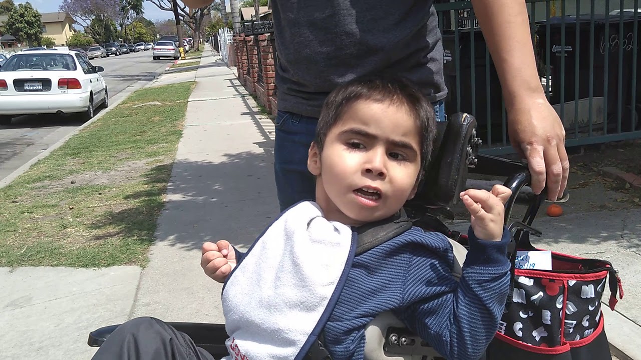 Возвращение из школы