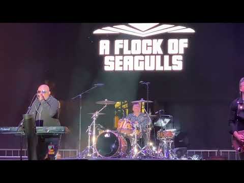 A Flock Of Seagulls - “Modern Love Is Automatic” - USC Campus 10/06/22