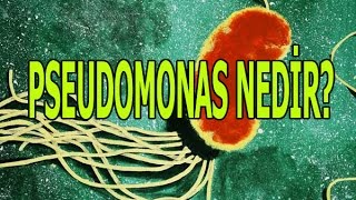 Pseudomonoas Spp. Nedir Ne Işe Yarar? Faydası Var Mıdır?