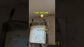 Bad Tenants Are Causing HIGHER Rental Prices!? 😳