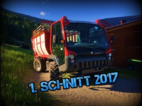 1. Schnitt 2017