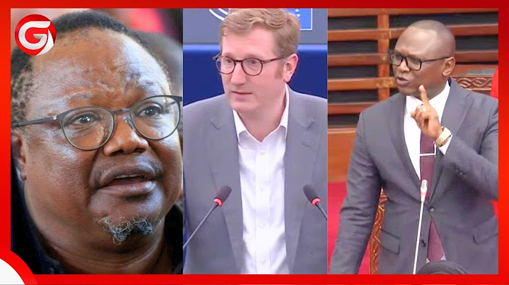 KIMEWAKA BUNGENI SAKATA la BUNGE la ULAYA -MBUNGE WA CCM ASIMAMA KUTOA HOJA-"NIDHARAU KWA NCHI YETU"