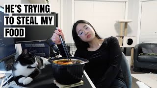 How I spend my work day off & my cat joins me in everything I do (hope u like messy vlogs)| CNDVLOG6 by CNDVL 2,674 views 2 years ago 8 minutes, 3 seconds