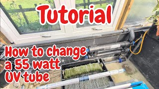 Green Pond Water? It’s Time to Change Your UV Bulbs! (TMC Pro Pond Tutorial)