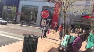 Hanna Andersson "Grand Opening" Easton Towne Center - Adventure's of Riley Madison