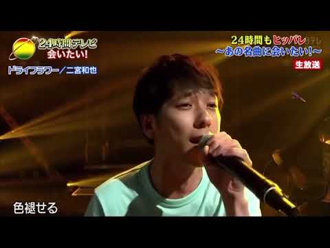 ドライフラワー 二宮和也 