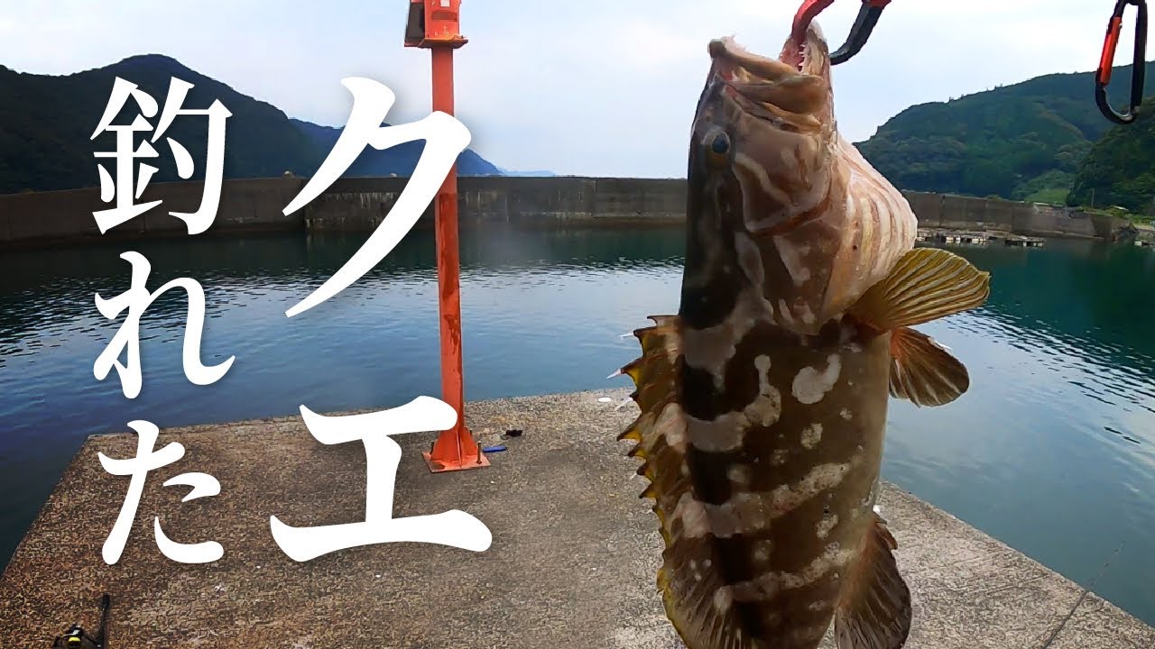 クエが釣れた最高の一日【ショアジギング】【大分県佐伯市】