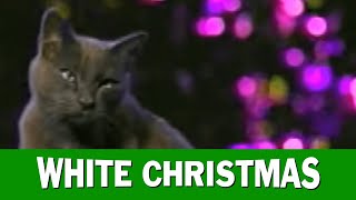 Jingle Cats White Christmas HD