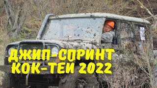 Джип-спринт Кок-Тей 2022 Республика Тыва