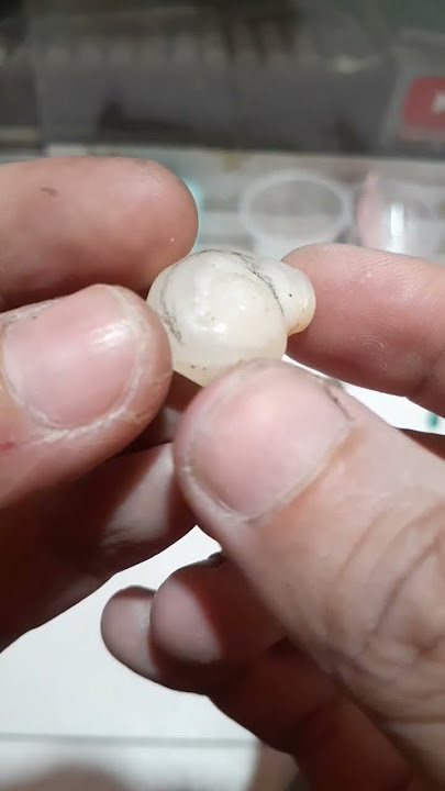 fosil kol buntet #shorts