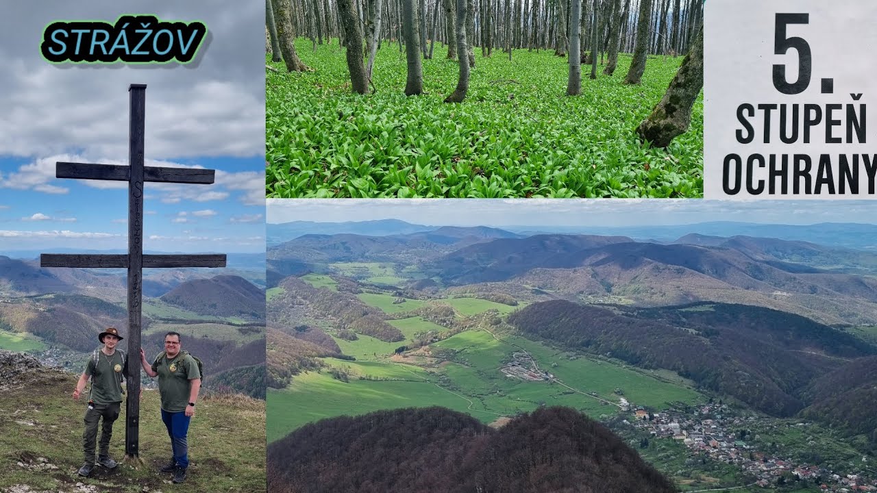 VRCH STRÁŽOV - Tip na výlet - Najvyšší vrch strážovských vrchov - Celá trasa - Medvedí cesnak - 2025