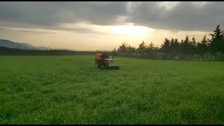 Steyr 8053 Ile Tritikale Arpa Ve Reyglas Karışımı Silajlık Ürünlerin Gübrelenmesi