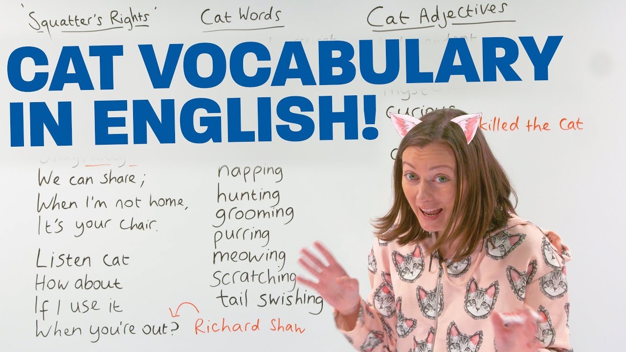 Learn English Vocabulary: CATS!