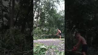 Cutting a tree that is blocking the road and traffic couldn’t pass
