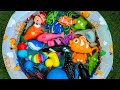 Ocean Animals: Names & Facts with Toys | Fun Sea Creatures for Toddlers and Preschoolers