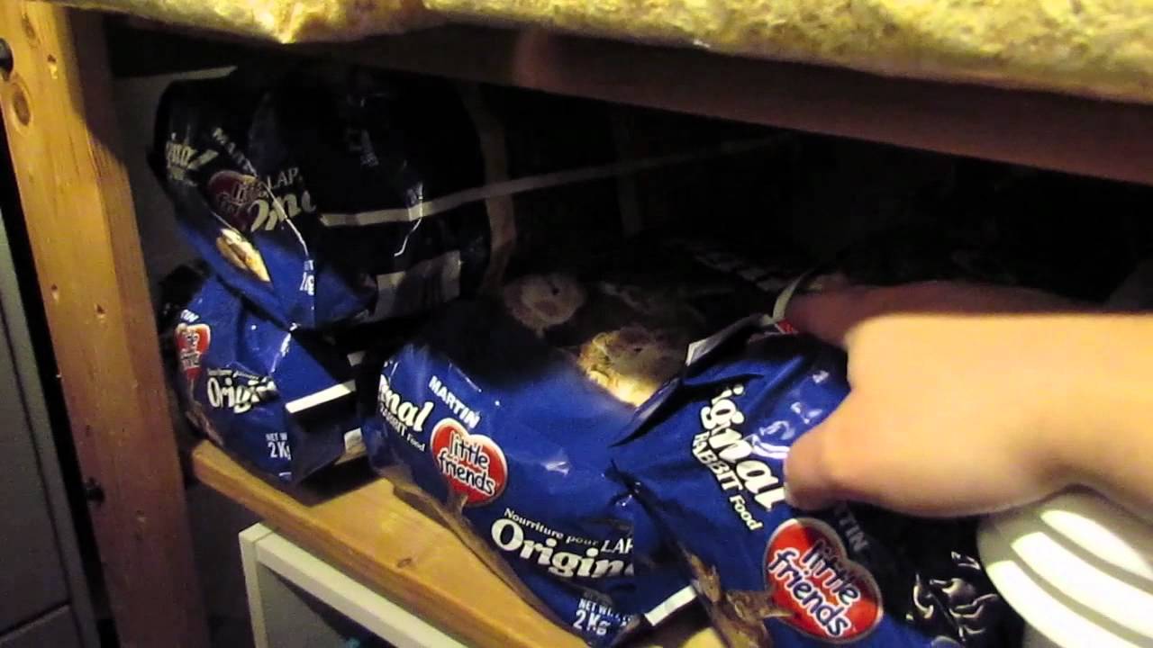 BudgetBunny Rabbit Organization & Supplies Part 2 of 2 YouTube