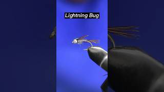 Fly tying the Lightning Bug | Fly tying tutorial #flytying #tutorial #flytyingnation #tyingflies
