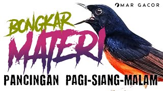 Download lagu PANCINGAN MURAI BATU GACOR AMPUH UNTUK PANCINGAN MURAI BATU AGAR BUNYI, EMOSI dan BONGKAR MATERI