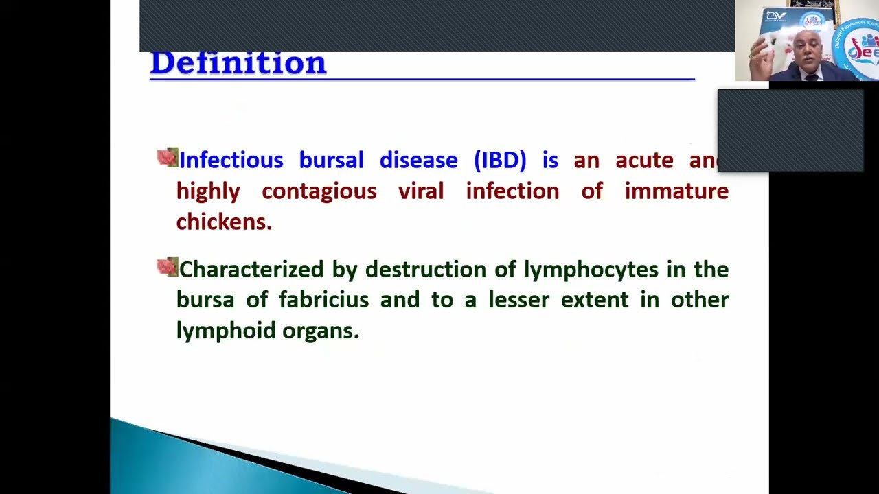 اهم طرق الوقاية والتحكم والعلاج لمرض الجمبورو في مزارع الدواجن