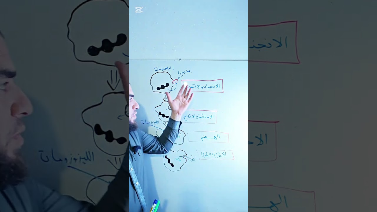 شرح للاستجابة المناعية اللانوعية البلعمة متراطيش