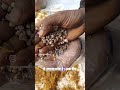 MushroomFarmingGuideLearn the complete process Step-by-step cultivation methodLowinvestmentbussiness