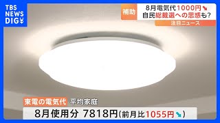 8月の電気代が1000円程度値下がり 政府が補助金を再開　自民総裁選へ“バラマキ政策”の思惑も｜TBS NEWS DIG