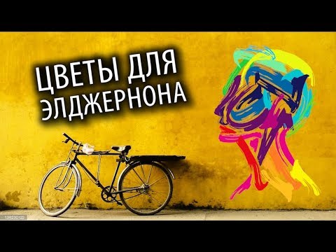 Почему ТЕБЕ Стоит Прочесть "Цветы Для Элджернона"