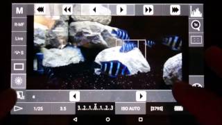 App DSLR Controller (Android) screenshot 4