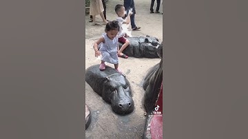 Bé nhí nha nhí nhảnh đi sở thú !!!!!