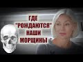 ☆ГДЕ, на самом деле, "рождаются" наши морщины | И при чём тут череп?♡over50 @Людмила Батакова