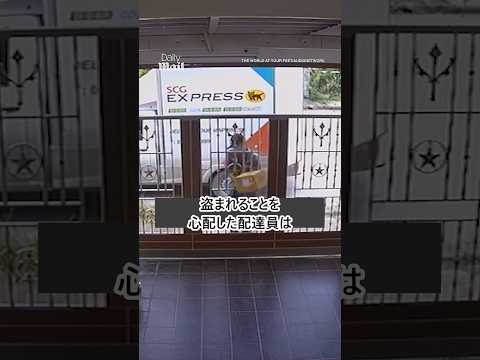 [教えて]この配達員は素晴らしいですか？#shorts #respect #kindness #deliverydriver #配達員#親切