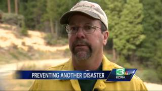 What does the King Fire burn zone look like now