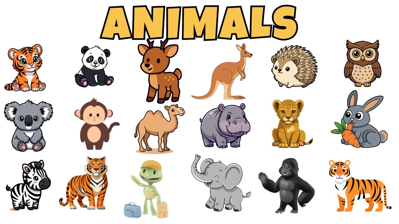 20 Animals Names for Kids | Animals Names for baby