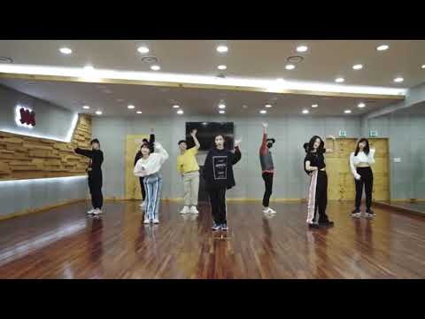 IU BBIBBI Dance Practice [mirrored]
