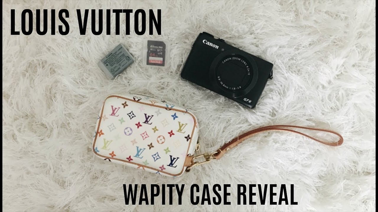 Louis Vuitton White Multi Wapity Case