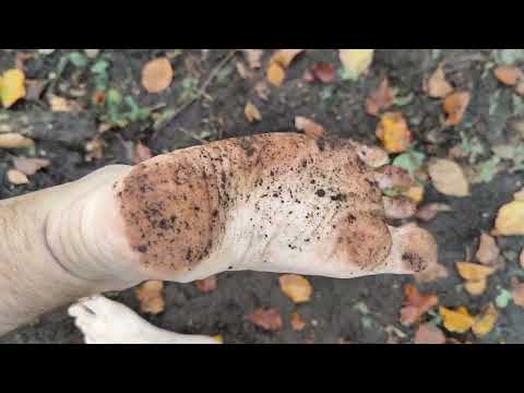 Kate's and Rob's dirty feet in forest