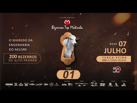 LOTE 01