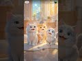 Cute cats 😻😻😻