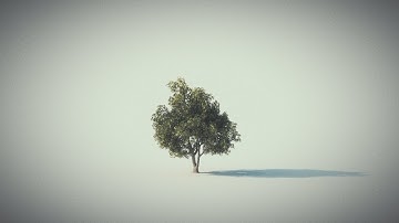 Dynamic Trees part 2: Art directing Fractures Houdini Tutorial Trailer