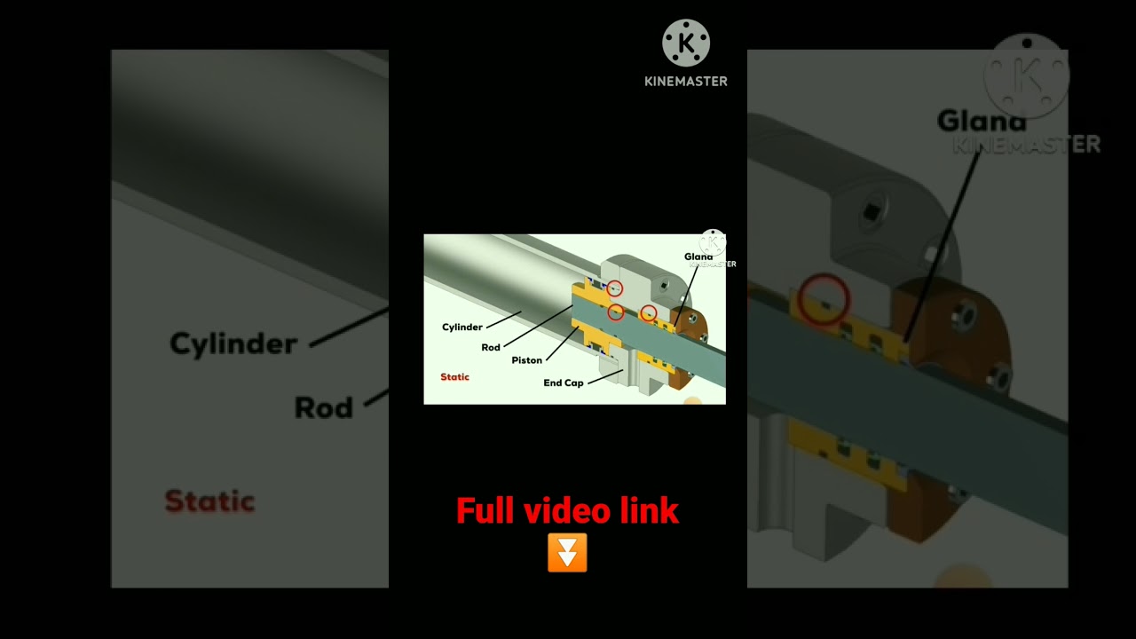 static and dynamic O-ring 
