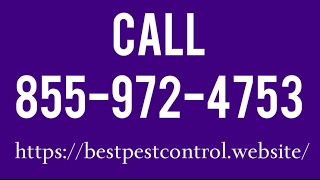 Bolton Waltham Pest Control - Pest Control Bolton Massachusetts MA