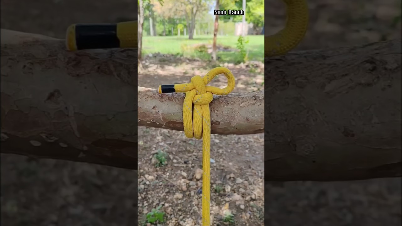 Nudo de asalta bancos ideal para atar caballos 🐴😉💯