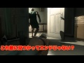 [ゆっくり実況]饅頭のMGSVTPP実況!! Part1　序章
