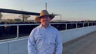 Brenton Watterson - ALFA Young Lot Feeder 2024 Grand Finalist