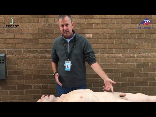 Lifecast Senior (Pete)&nbsp;
, 1025083, Adult (Video)