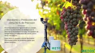 Viticultura de Precisión : Fieldclimate