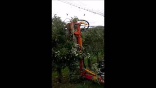 BMV - FL250P Vertical Mechanical Pruner